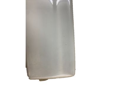 GM 20816961 Body Side Molding, Front Driver Side