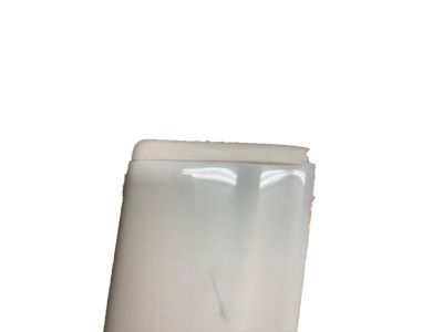 GM 20816961 Body Side Molding, Front Driver Side