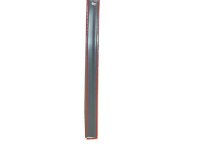 GM 20816961 Body Side Molding, Front Driver Side