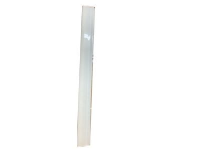 GM 20816961 Body Side Molding, Front Driver Side