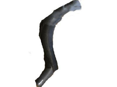 Chevy Corsica Radiator Hose - 10135366