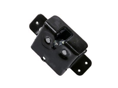 GM 13584872 Lock Actuator