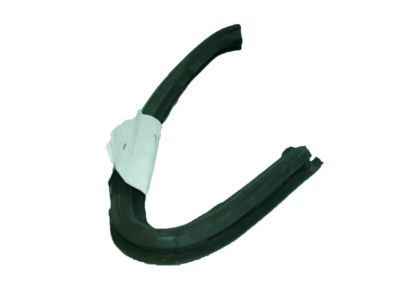 2022 Cadillac XT5 Weather Strip - 84383090