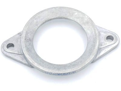 GM 12789486 Bearing Retainer, Front