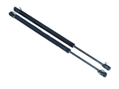 Chevy 10429204 Lift Cylinder