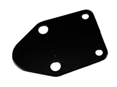 Pontiac 14094069 COVER,FUEL PUMP OPENING