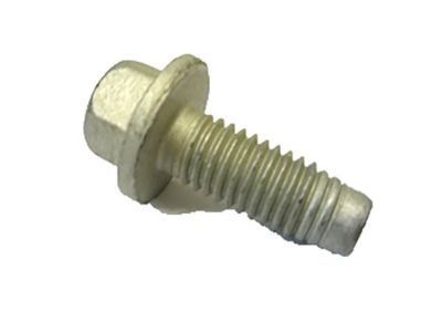 Pontiac 92138780 BOLT,FRONT LICENSE PLATE(SELF-TAPPING M4.2XM19)