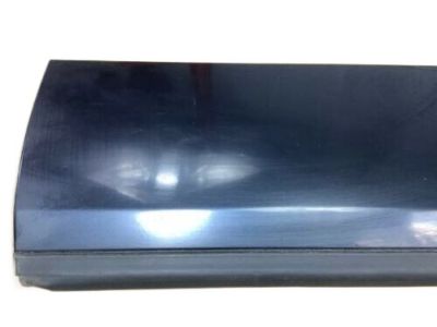 GM 10265385 Body Side Molding, Rear Driver Side