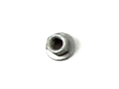 GM 94856321 Exhaust Manifold Nut