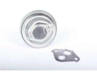 Chevy C3500 EGR Filter - 19210654