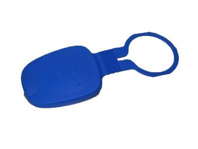 Pontiac 92191916 Reservoir Cap