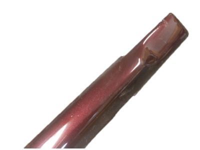 GM 10246326 Body Side Molding, Rear Center