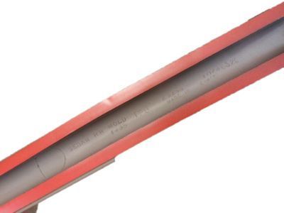 GM 10246326 Body Side Molding, Rear Center