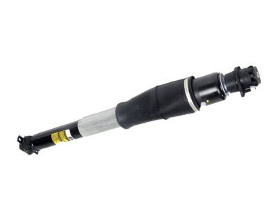 GM 19368459 Shock Absorber, Black, Rear