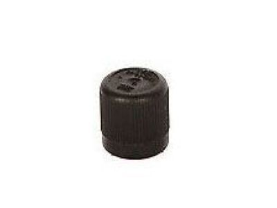 Buick 25532662 CAP,FUEL PRESSURE SERVICE VALVE(PART OF 612)(CAP FOR PRESSURE TEST SCHRADER VALVE)(3.163)