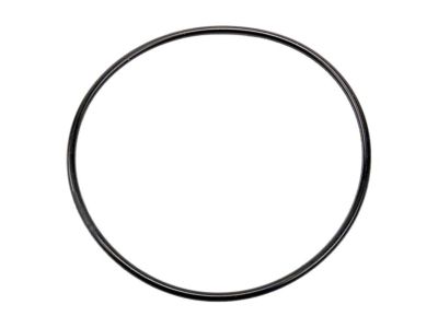 Chevy 20763802 SEAL,P/S ASST MOTOR
