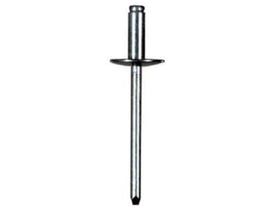 GM 9434229 Reveal Molding Rivet