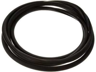 Chevy Impala Limited Weather Strip - 15893292