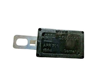 GM 25631904 Coil
