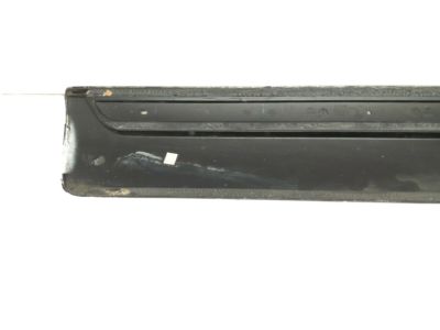 GM 15176416 Molding, Outer Driver Side