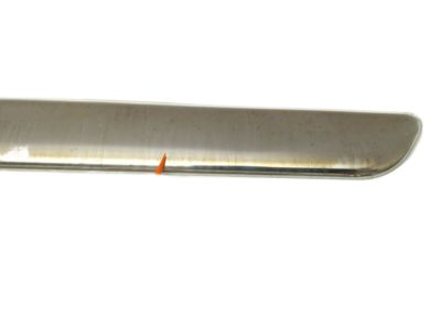 GM 15176416 Molding, Outer Driver Side