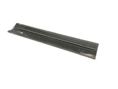 GM 15176416 Molding, Outer Driver Side