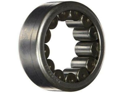Chevy Trailblazer Wheel Bearing - 12479031