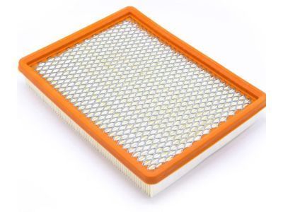 Buick Air Filter - 15221217