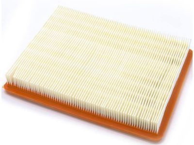 GM 15221217 Air Filter