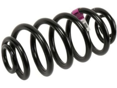 GM 13312084 Coil Spring, Rear