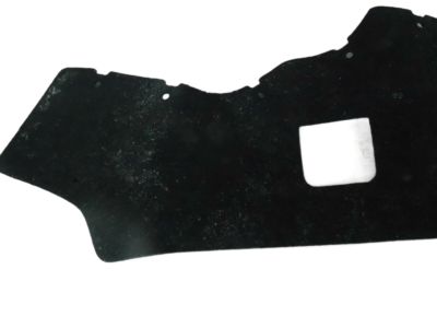 GM 10279931 Splash Shield, Black