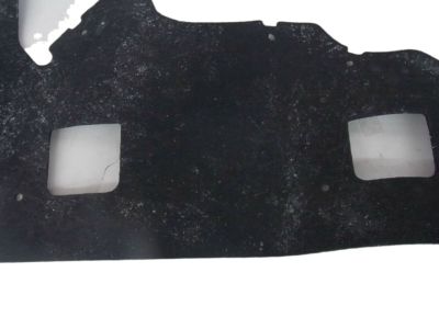 GM 10279931 Splash Shield, Black