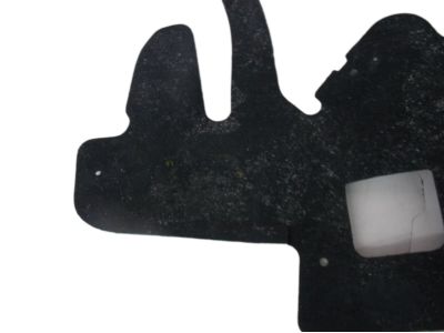 GM 10279931 Splash Shield, Black