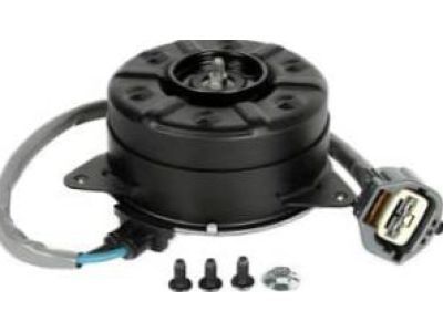 GM 15932853 Fan Motor, Driver Side