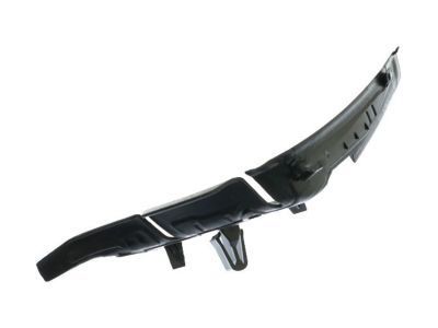 GM 25932362 Side Cover, Driver Side