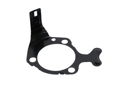 GM 18060857 Backing Plate, Passenger Side