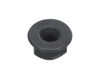 Chevy 11546365 Water Pump Nut