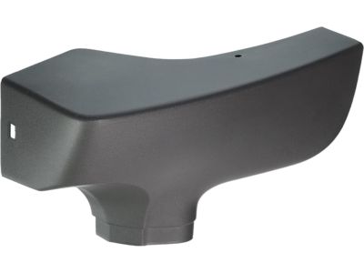GM 15769302 Front Molding, Outer Passenger Side