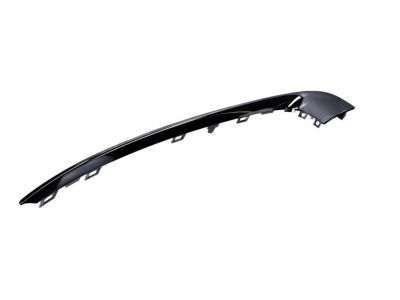 GM 13238372 Molding, Driver Side