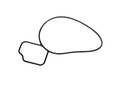 Chevy Equinox Water Pump Gasket - 24439799