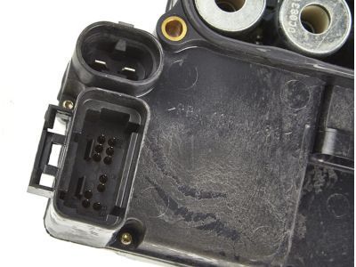 GM 19244894 Control Module