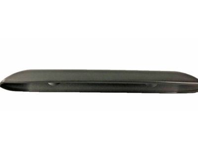 GM 15814272 Handle, Hood Panel