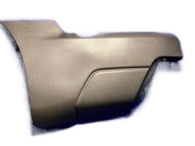 GM 15082064 Side Molding, Outer Driver Side