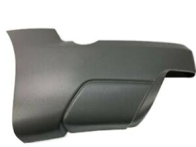 GM 15082064 Side Molding, Outer Driver Side