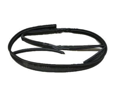 Chevy Tahoe Weather Strip - 20789462