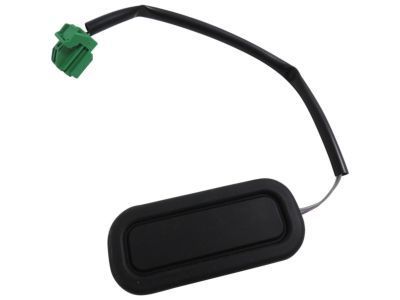 GM 20890048 Lock Switch, Rear