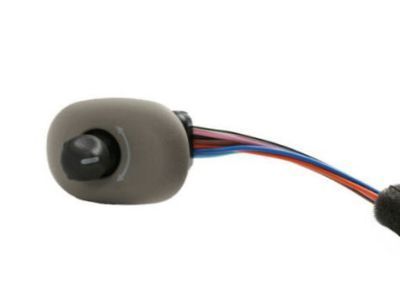 GM 15040500 Mirror Switch, Rear