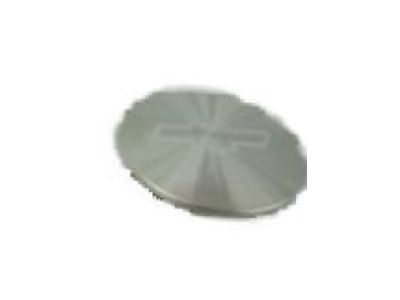 GM 10097530 Hub Cap, Silver