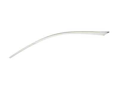 Chevy Malibu Limited Door Moldings - 23176657
