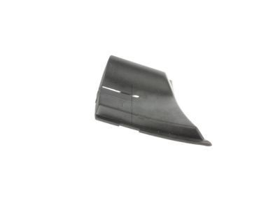 GM 15946003 End Cap, Driver Side